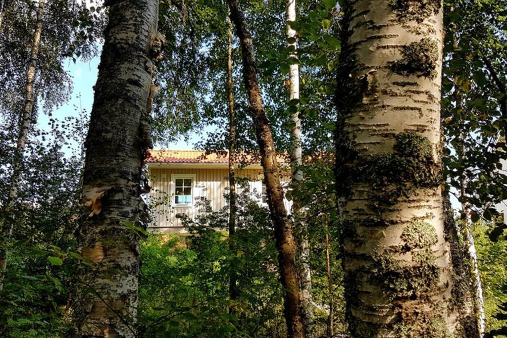 Nybyggd Stuga Intill Skogsbrynet - New Built Cottage Next To The Cowberry Forest مورا المظهر الخارجي الصورة